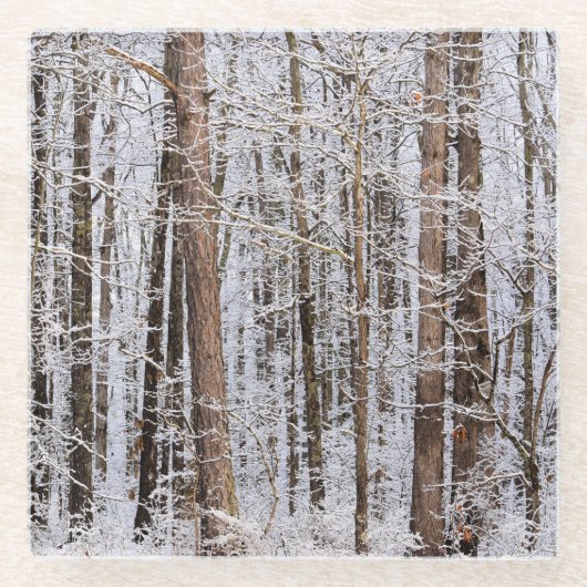 Wintereissturm im Wald Glasuntersetzer (Vorderseite)