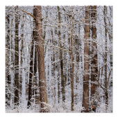 Wintereissturm im Wald Poster (Vorderseite)