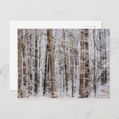 Wintereissturm im Wald Postkarte (Vorne/Hinten)