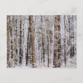 Wintereissturm im Wald Postkarte (Vorderseite)