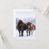 Winterfarm zwei braune Kuh im Schneefall grüßen Karte (Vorderseite/Rückseite Beispiel)