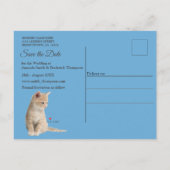 Winterfeiern im Schnee, mit Kätzchen Ankündigungspostkarte (Rückseite)