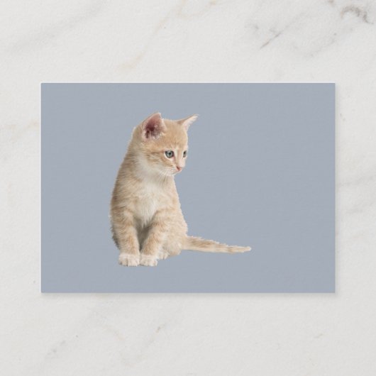 Winterfeiern im Schnee, mit Kätzchen Begleitkarte (Rückseite)