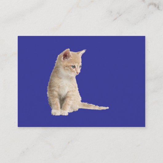 Winterfeiern im Schnee, mit Kätzchen Begleitkarte (Rückseite)