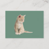 Winterfeiern im Schnee, mit Kätzchen Begleitkarte (Rückseite)