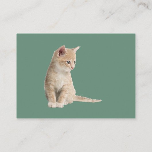 Winterfeiern im Schnee, mit Kätzchen Begleitkarte (Rückseite)