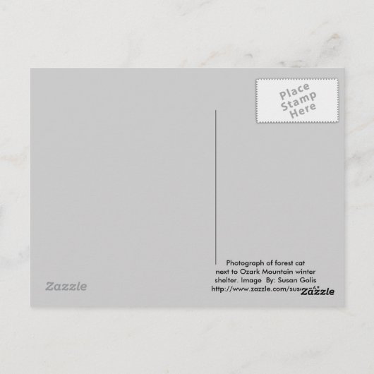 Winterferd-Waldkatze Postkarte (Rückseite)