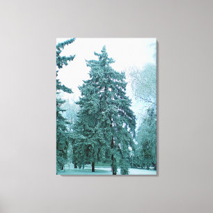 Winterfichtenbaum mit Schnee Leinwanddruck