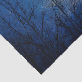 Winterflug von Raven Seidenpapier (Detail)