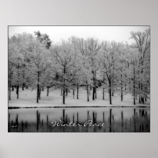 Winterfrieden Poster (Vorne)
