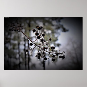 Winterfrieren, Poster