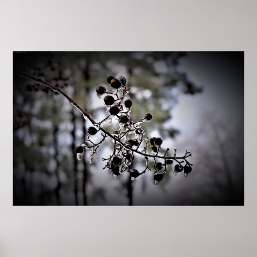 Winterfrieren, Poster (Vorne)