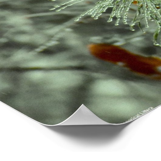 Winterfrieren, Poster (Ecke)