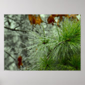 Winterfrieren, Poster (Vorne)