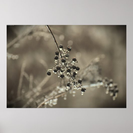 Winterfrieren, Poster (Vorne)