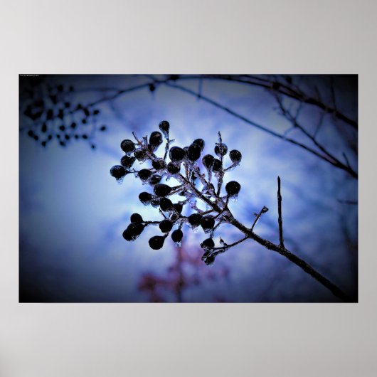 Winterfrieren, Poster (Vorne)