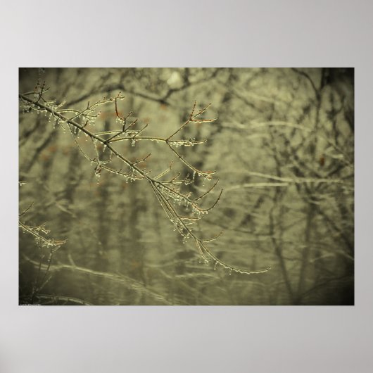 Winterfrieren, Poster (Vorne)