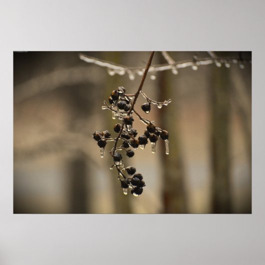 Winterfrieren, Poster (Vorne)