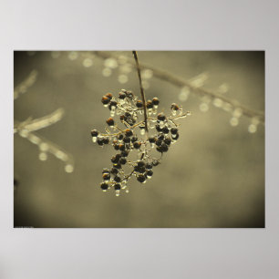 Winterfrieren, Poster