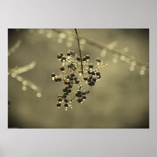 Winterfrieren, Poster (Vorne)