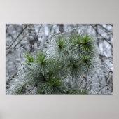 Winterfrieren, Poster (Vorne)