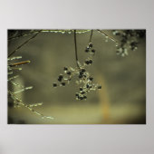 Winterfrieren, Poster (Vorne)