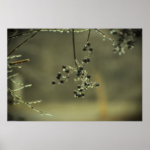 Winterfrieren, Poster