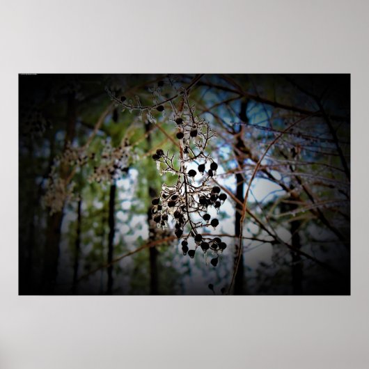 Winterfrieren, Poster (Vorne)