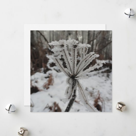 Winterfrost auf Pflanze im Wald Feiertagskarte (Vorderseite/Rückseite Beispiel)