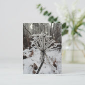Winterfrost auf Pflanze im Wald Postkarte (Stehend Vorderseite)