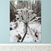 Winterfrost auf Pflanze in der Waldfotografie Leinwanddruck (Insitu (Holzboden))