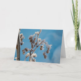 Winterfrost Feiertagskarte