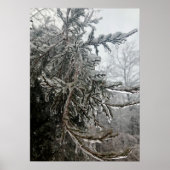 Winterfrost Poster (Vorne)