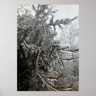 Winterfrost Poster