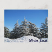 Winterfrost Postkarte (Vorderseite)