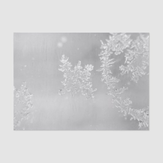 Winterfrost und Schneeflocken Silvery Gray Seidenpapier (Vorderseite)