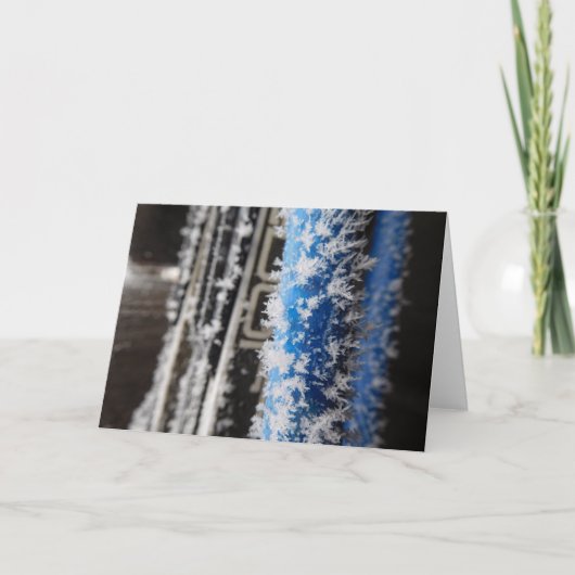 Winterfrostnotecard Karte (Vorderseite)