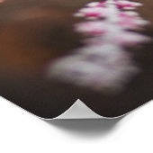 Winterfrostposter Poster (Ecke)