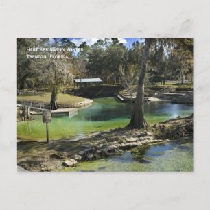 Winterfrühlingspostkarte Postkarte