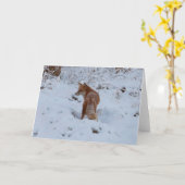 Winterfuchs Karte (Gelbe Blume)