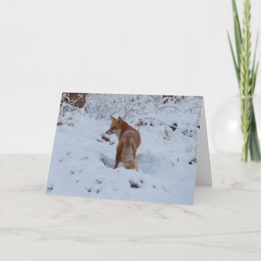 Winterfuchs Karte (Vorderseite)