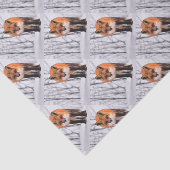 Winterfuchs-Packpapier, Waldgeschenkverpackung Seidenpapier (Ausschnitt)