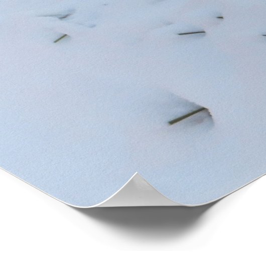 Winterfuchs Poster (Ecke)