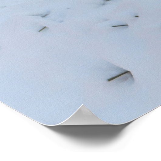 Winterfuchs Poster (Ecke)