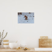 Winterfuchs Poster (Küche)