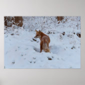 Winterfuchs Poster (Vorne)