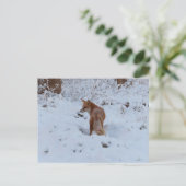 Winterfuchs Postkarte (Stehend Vorderseite)