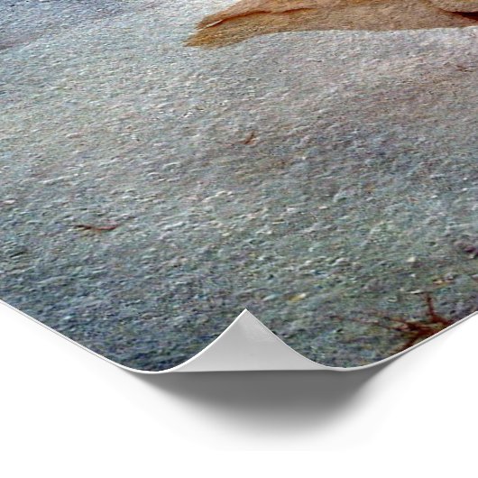 Wintergänse Poster (Ecke)