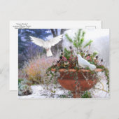 "Wintergarten" Postkarte (Vorne/Hinten)