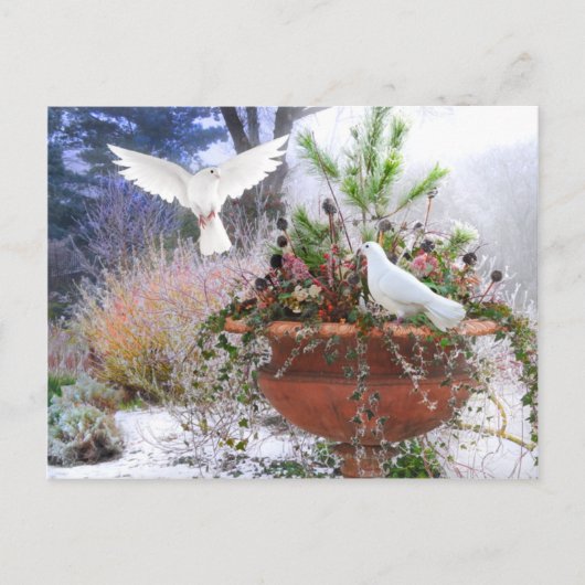 "Wintergarten" Postkarte (Vorderseite)